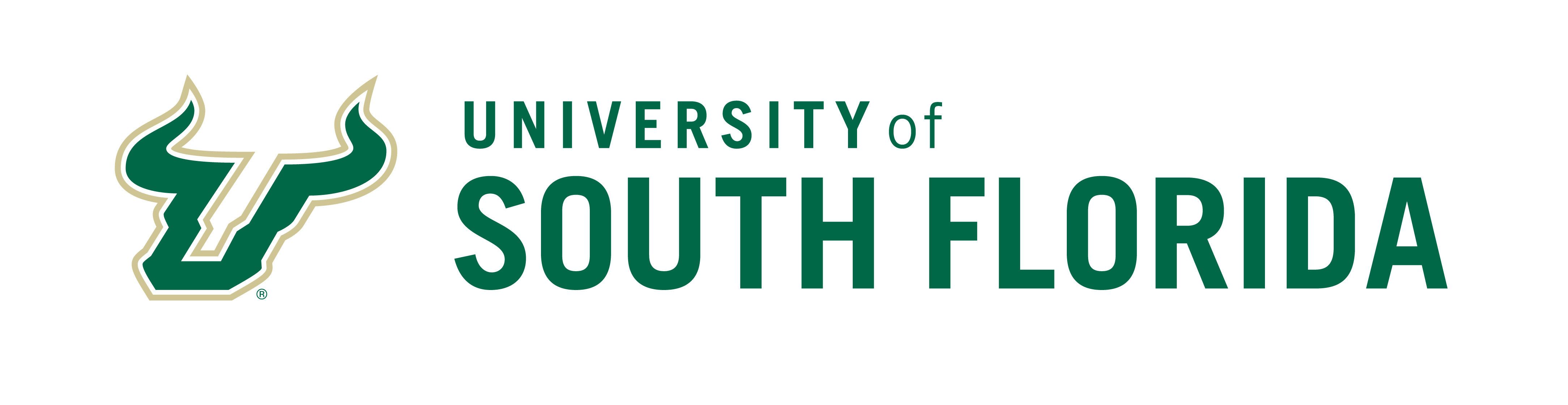 INTO University of South Florida